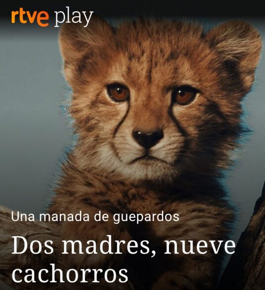 Narrating documentaries for La2: a dream come true.